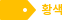 황색